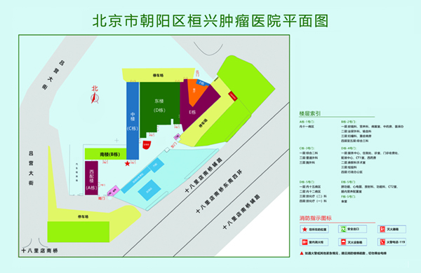 艹逼淫院北京市朝阳区桓兴肿瘤医院平面图